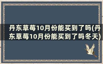 丹东草莓10月份能买到了吗(丹东草莓10月份能买到了吗冬天)