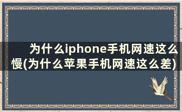 为什么iphone手机网速这么慢(为什么苹果手机网速这么差)