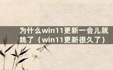 为什么win11更新一会儿就跳了（win11更新很久了）