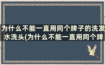 为什么不能一直用同个牌子的洗发水洗头(为什么不能一直用同个牌子的洗发水洗头发)