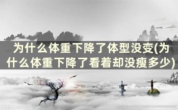 为什么体重下降了体型没变(为什么体重下降了看着却没瘦多少)