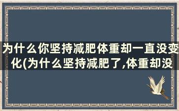 为什么你坚持减肥体重却一直没变化(为什么坚持减肥了,体重却没下降)