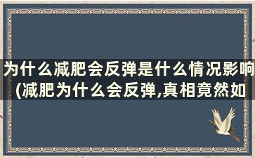 为什么减肥会反弹是什么情况影响(减肥为什么会反弹,真相竟然如此简单)