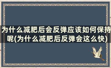 为什么减肥后会反弹应该如何保持呢(为什么减肥后反弹会这么快)