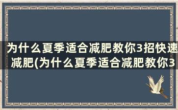 为什么夏季适合减肥教你3招快速减肥(为什么夏季适合减肥教你3招快速减肥方法)