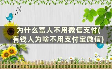 为什么富人不用微信支付(有钱人为啥不用支付宝微信)