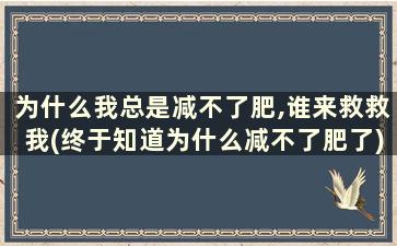 为什么我总是减不了肥,谁来救救我(终于知道为什么减不了肥了)