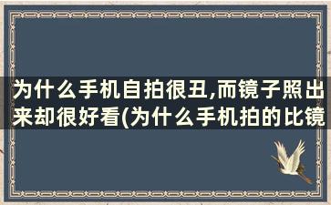 为什么手机自拍很丑,而镜子照出来却很好看(为什么手机拍的比镜子丑)