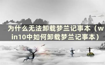 为什么无法卸载梦兰记事本（win10中如何卸载梦兰记事本）