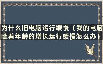 为什么旧电脑运行缓慢（我的电脑随着年龄的增长运行缓慢怎么办）