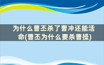 为什么曹丕杀了曹冲还能活命(曹丕为什么要杀曹操)