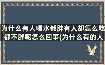 为什么有人喝水都胖有人却怎么吃都不胖呢怎么回事(为什么有的人喝水都胖有的人怎么吃都不胖)