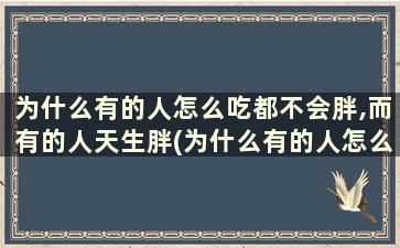 为什么有的人怎么吃都不会胖,而有的人天生胖(为什么有的人怎么吃都不会胖的原因)