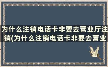 为什么注销电话卡非要去营业厅注销(为什么注销电话卡非要去营业厅呢)