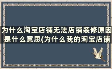 为什么淘宝店铺无法店铺装修原因是什么意思(为什么我的淘宝店铺不能装修)