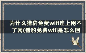 为什么猎豹免费wifi连上用不了网(猎豹免费wifi是怎么回事)