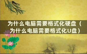 为什么电脑需要格式化硬盘（为什么电脑需要格式化U盘）