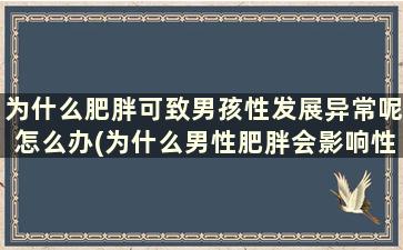 为什么肥胖可致男孩性发展异常呢怎么办(为什么男性肥胖会影响性功能)