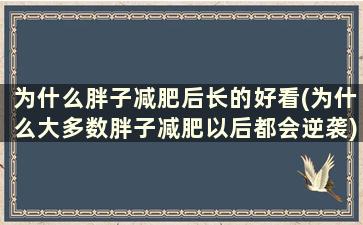 为什么胖子减肥后长的好看(为什么大多数胖子减肥以后都会逆袭)