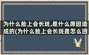 为什么脸上会长斑,是什么原因造成的(为什么脸上会长斑是怎么回事)