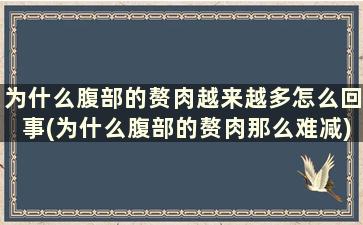 为什么腹部的赘肉越来越多怎么回事(为什么腹部的赘肉那么难减)