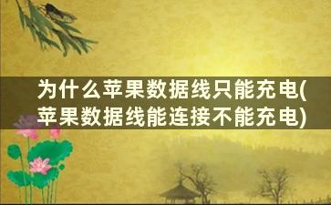 为什么苹果数据线只能充电(苹果数据线能连接不能充电)