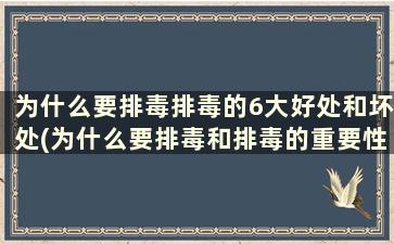 为什么要排毒排毒的6大好处和坏处(为什么要排毒和排毒的重要性)