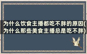 为什么饮食主播都吃不胖的原因(为什么那些美食主播总是吃不胖)