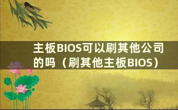 主板BIOS可以刷其他公司的吗（刷其他主板BIOS）