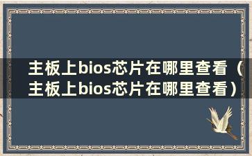 主板上bios芯片在哪里查看（主板上bios芯片在哪里查看）