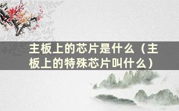 主板上的芯片是什么（主板上的特殊芯片叫什么）