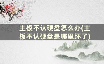 主板不认硬盘怎么办(主板不认硬盘是哪里坏了)