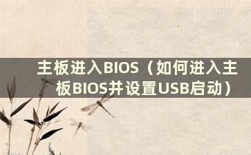 主板进入BIOS（如何进入主板BIOS并设置USB启动）