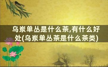 乌岽单丛是什么茶,有什么好处(乌岽单丛茶是什么茶类)