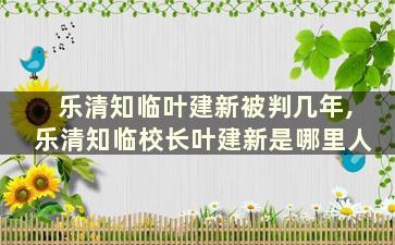 乐清知临叶建新被判几年,乐清知临校长叶建新是哪里人