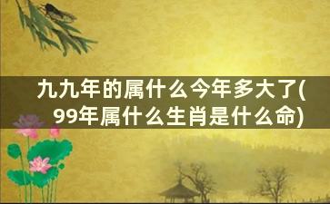 九九年的属什么今年多大了(99年属什么生肖是什么命)