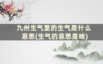 九州生气里的生气是什么意思(生气的意思是啥)