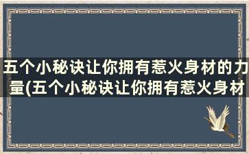 五个小秘诀让你拥有惹火身材的力量(五个小秘诀让你拥有惹火身材的感觉)