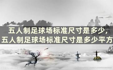 五人制足球场标准尺寸是多少,五人制足球场标准尺寸是多少平方