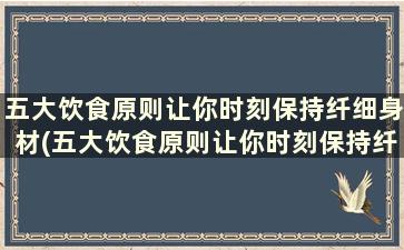 五大饮食原则让你时刻保持纤细身材(五大饮食原则让你时刻保持纤细身材对吗)