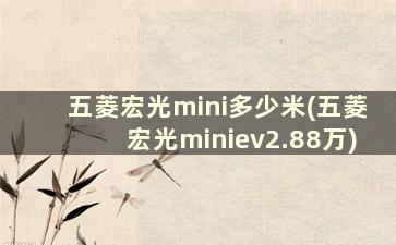 五菱宏光mini多少米(五菱宏光miniev2.88万)