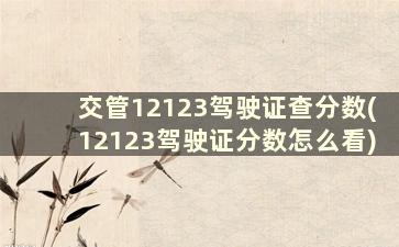 交管12123驾驶证查分数(12123驾驶证分数怎么看)