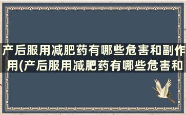 产后服用减肥药有哪些危害和副作用(产后服用减肥药有哪些危害和后果)