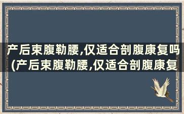 产后束腹勒腰,仅适合剖腹康复吗(产后束腹勒腰,仅适合剖腹康复训练吗)