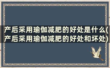 产后采用瑜伽减肥的好处是什么(产后采用瑜伽减肥的好处和坏处)