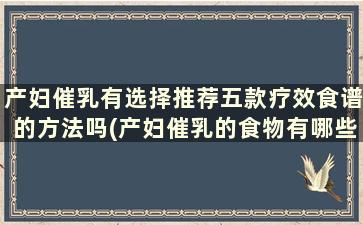 产妇催乳有选择推荐五款疗效食谱的方法吗(产妇催乳的食物有哪些)