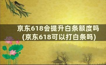 京东618会提升白条额度吗(京东618可以打白条吗)