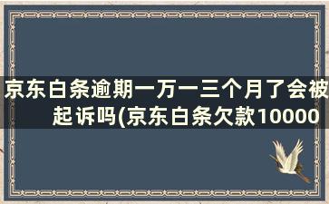 京东白条逾期一万一三个月了会被起诉吗(京东白条欠款10000欠了三年)