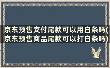 京东预售支付尾款可以用白条吗(京东预售商品尾款可以打白条吗)