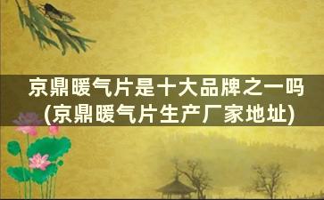 京鼎暖气片是十大品牌之一吗(京鼎暖气片生产厂家地址)